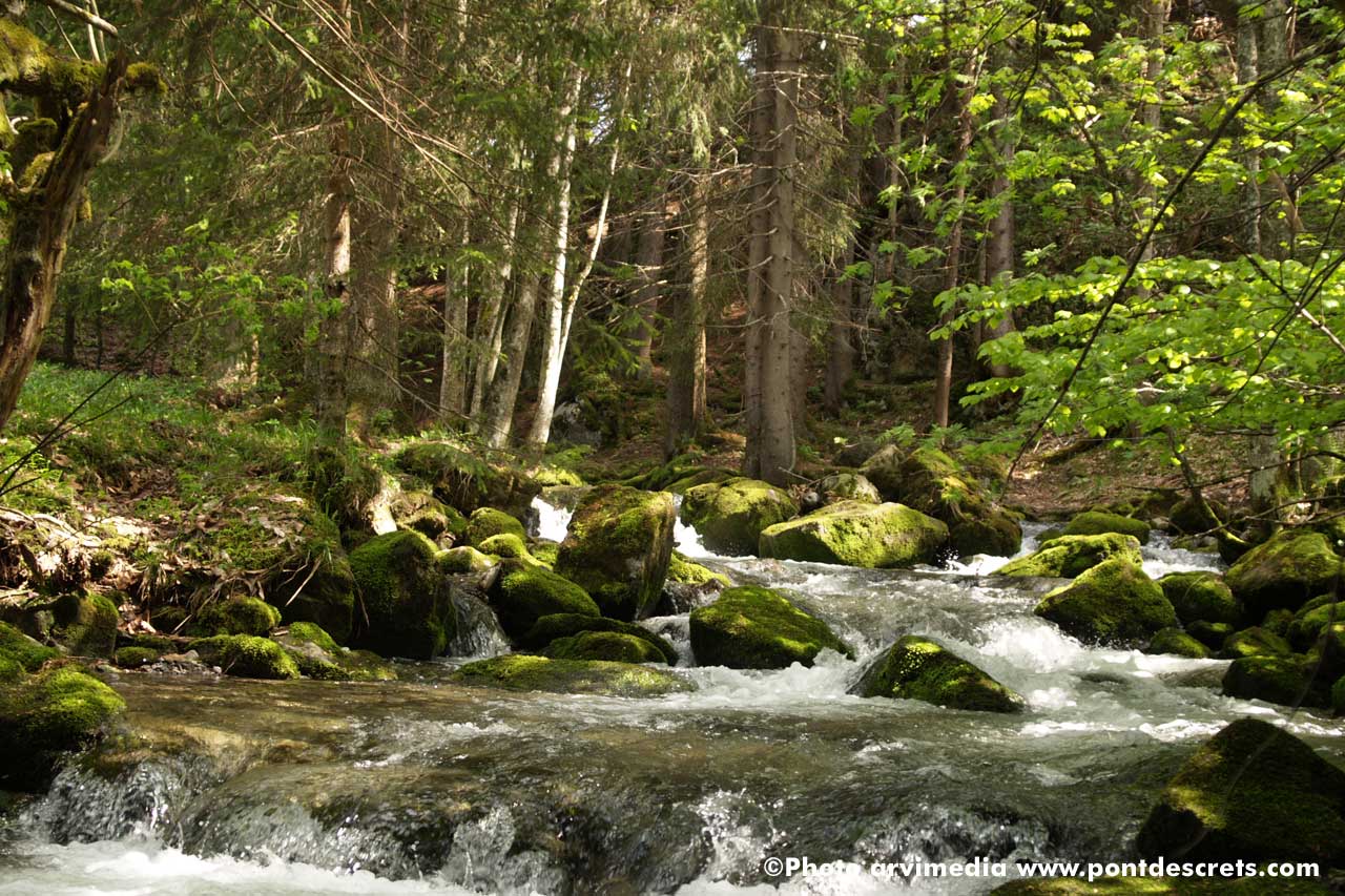 hébergement logement de vacances à la clusaz séjour ski gite chalet alpes france photo arvimedia